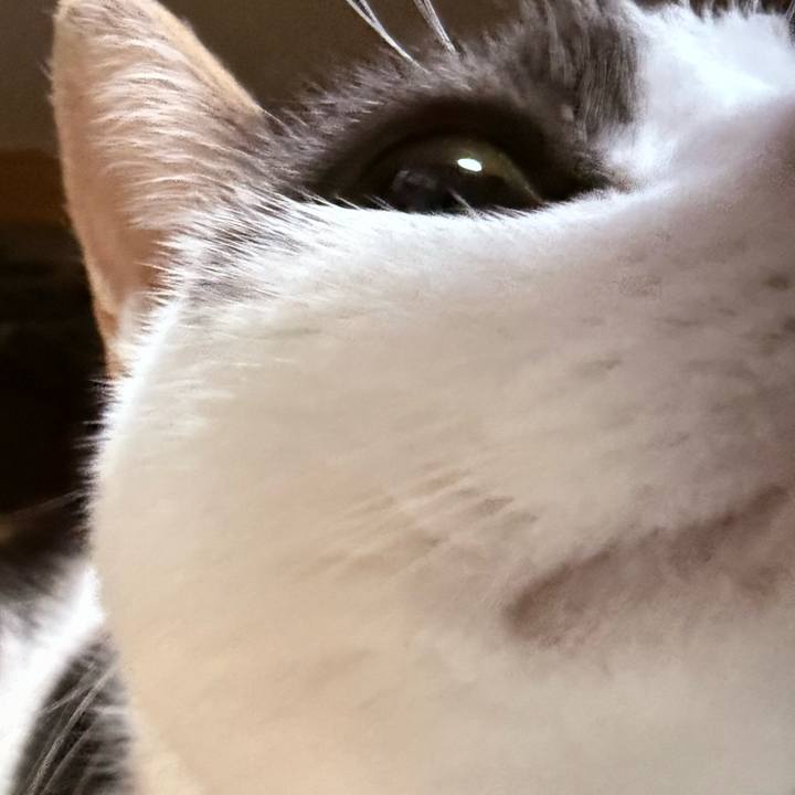 Bd797017 3d60 4018 929c f077814e8bfd 1727485410523