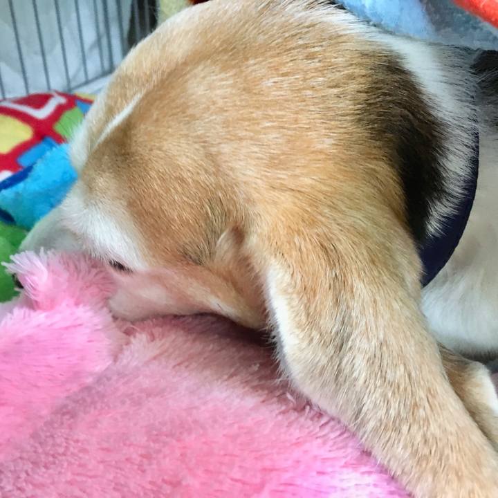 Bd799181 e2b8 41e0 bb93 1d0bb48f4c28 1740444133064