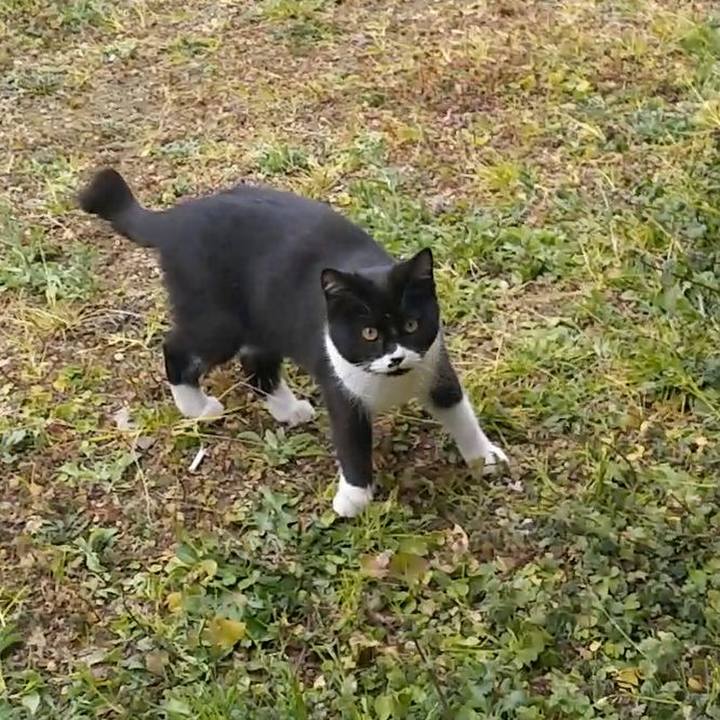 Bd79997d 0307 40ac 9c17 bfb28a302b6a 1551838559787