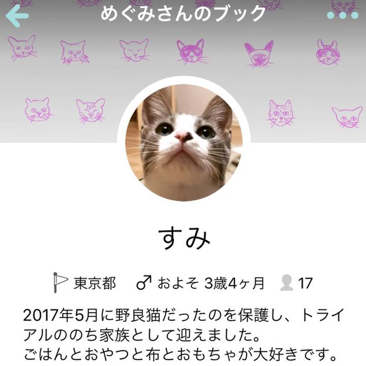 Bd799c68 c31f 4563 b2dd defe119e8533 1578869950541