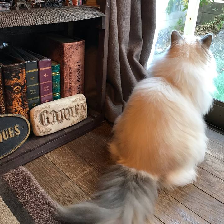 Bd79a7e6 ae7d 44bb a7b3 73a24998c201 1574551861073