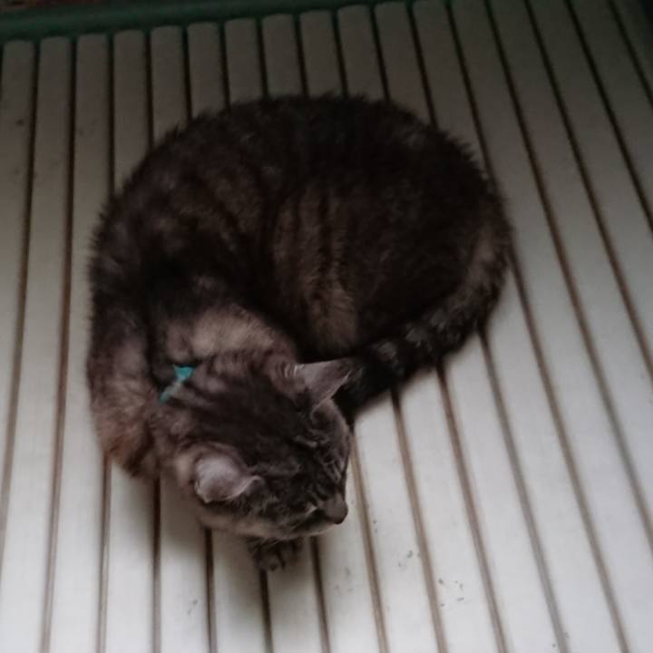 Bd79d706 fa6a 472f 844e 741a84bda474 1567628513405