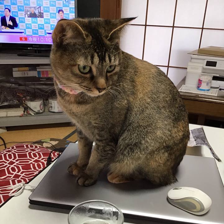 Bd7a0642 ceb7 4d12 90af dc73b34c2bec 1615599866658