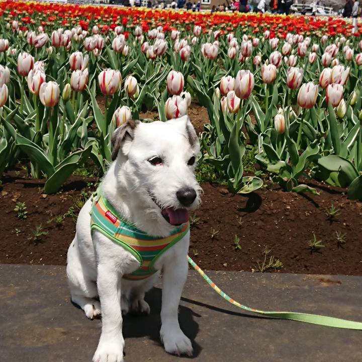 Bd7a0d9c 9133 4314 a88c 98721d575537 1554815013184