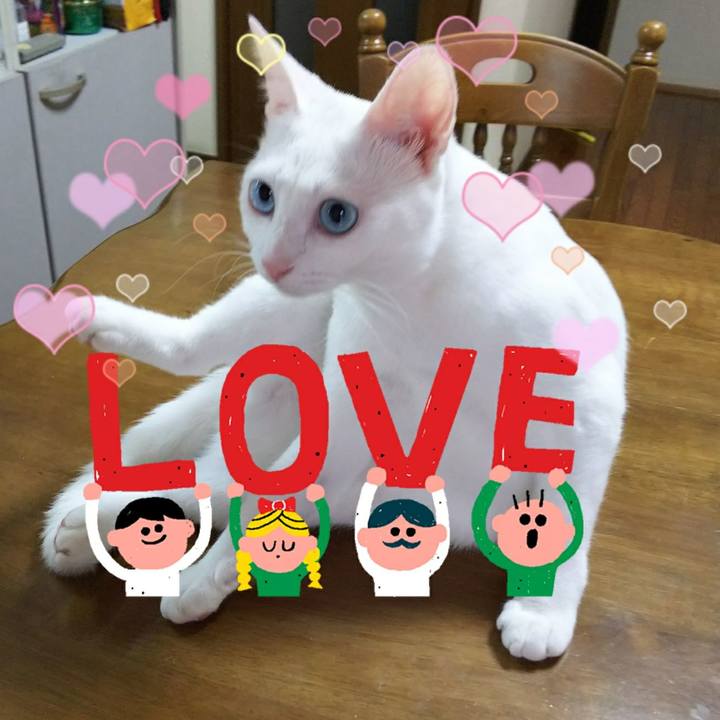 Bd7a55cb 778a 46d6 bc2b 97cfce23369d 1535122075590