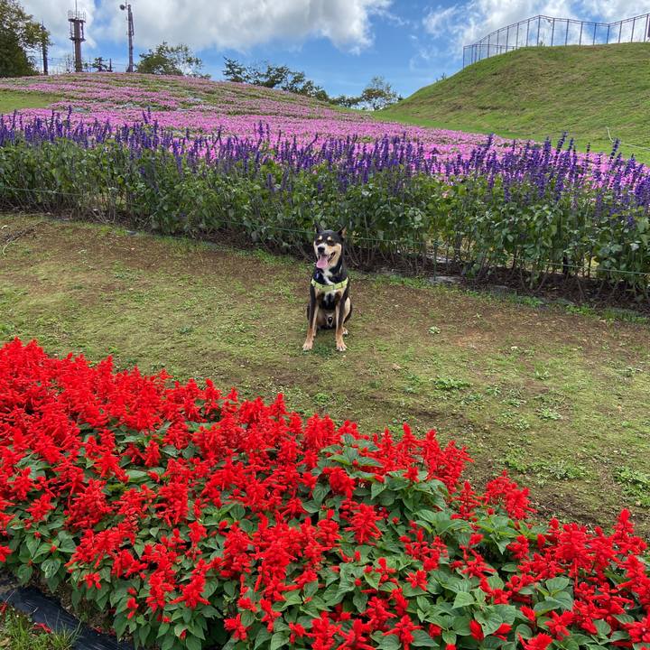 Bd7a6f79 10cf 49ce bb72 254f41e70b6b 1633518862063