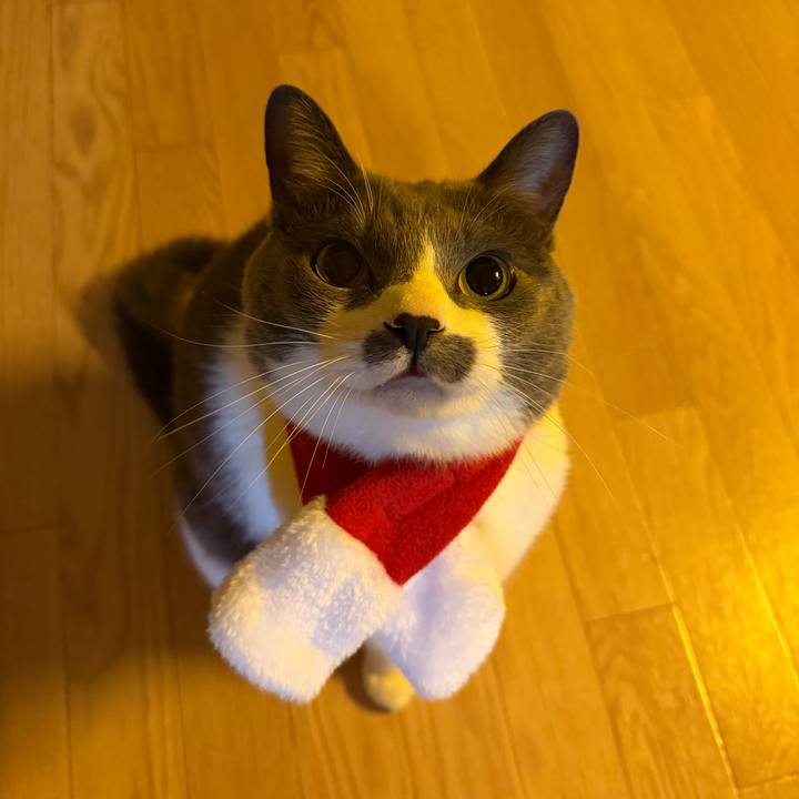 Bd7a77ee 0f39 45a0 bf59 4f8d5088cdd1 1766626311039