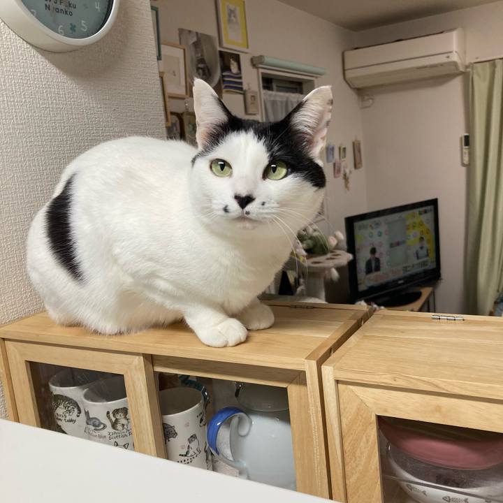 Bd7a78e2 6c6d 430b 95ff 56b07e73e81d 1774643466836