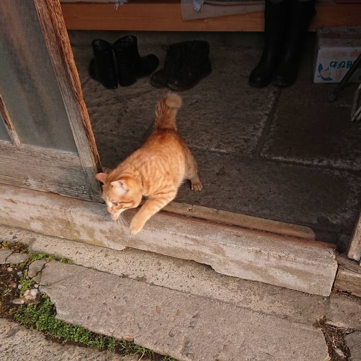 Bd7a9e27 a1c9 454e 92d3 361165b2771d 1647135239177