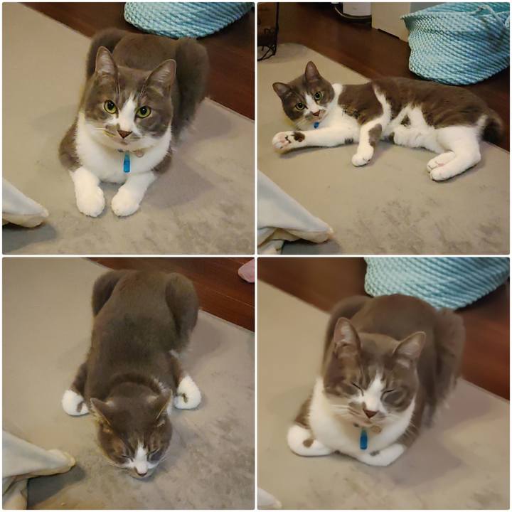 Bd7ac19c faa1 469c b2e2 12de8a9e5d19 1669466089199