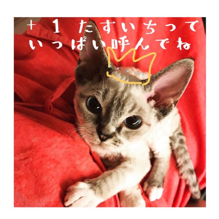 Bd7ae545 3cb9 47f3 9baa d6a33da93a30 1585991910290