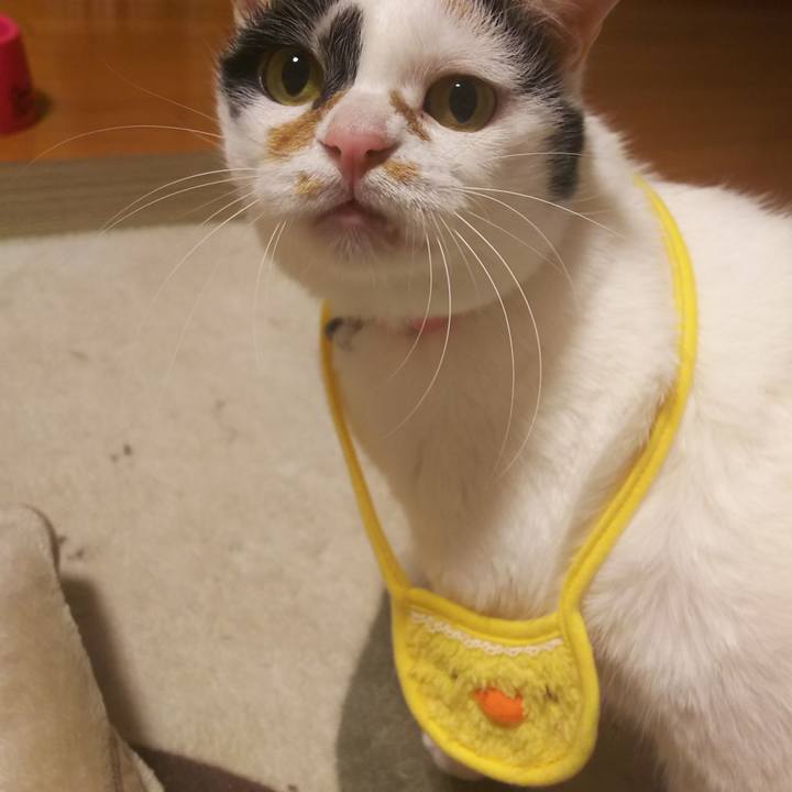 Bd7af4a8 bb2f 4ee0 93b9 1a2e62096981 1574840343857