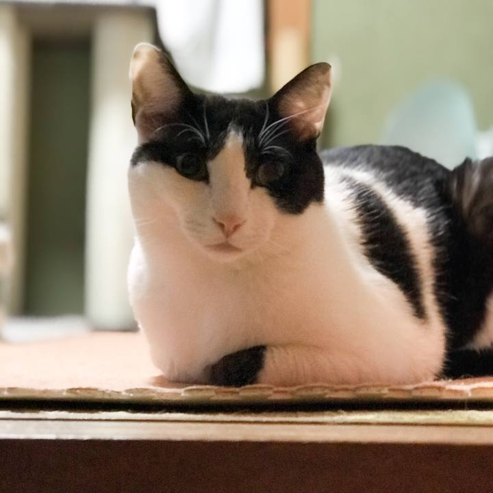 Bd7b1d02 f748 419a af4d c7258428c289 1528900221927