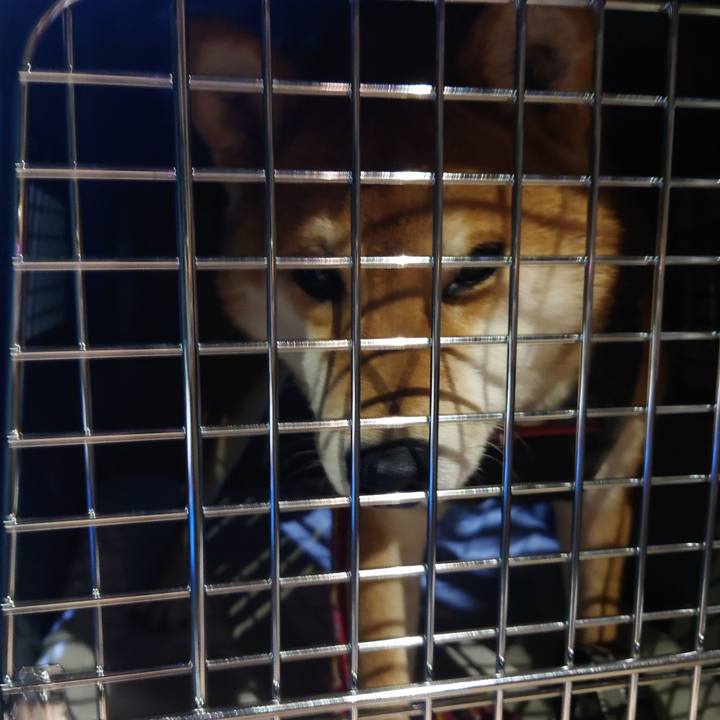 Bd7b52a4 6538 4c4a a378 bf4c785f0513 1766116975730