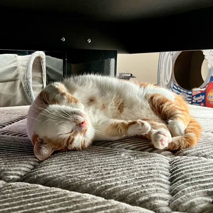 Bd7bbfb4 22f3 4d9c 9342 143c3fe9f2b0 1766546966747