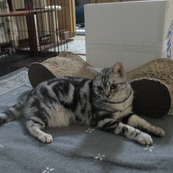 Bd7bdd02 8f26 4a64 a651 5ae93b58c00e 1567914063768