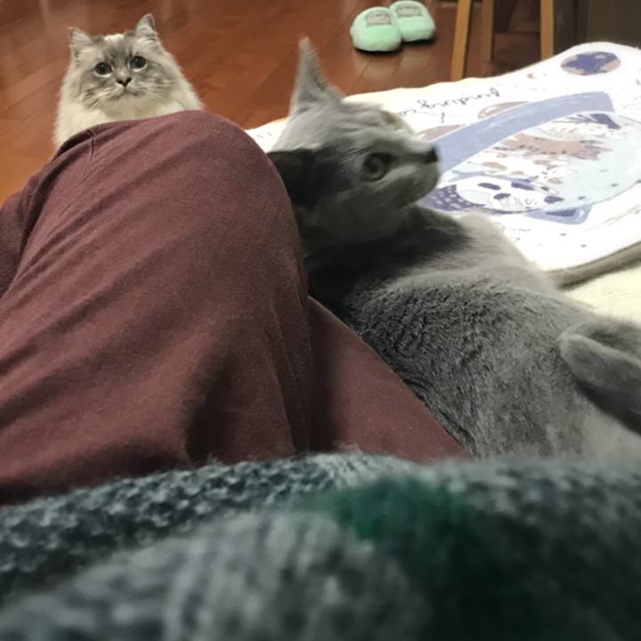 Bd7bed82 41a6 4509 844b 82b0be4fde29 1517998134106