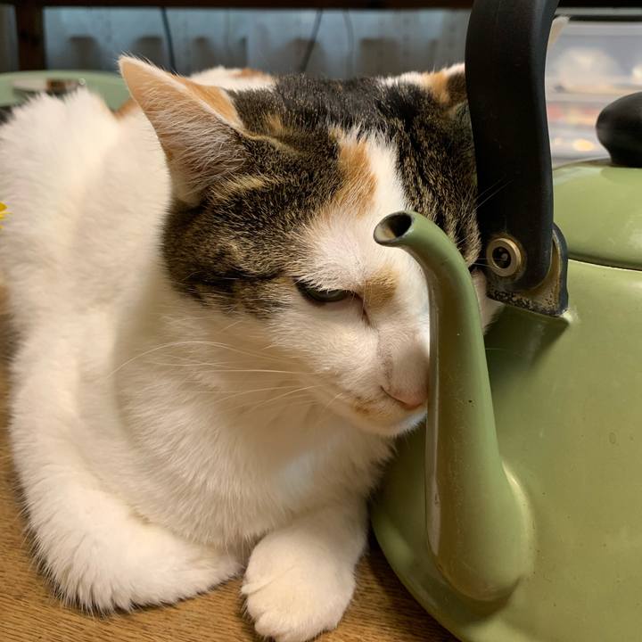 Bd7c0314 2042 4321 b3e6 501f2844ed08 1681512714633