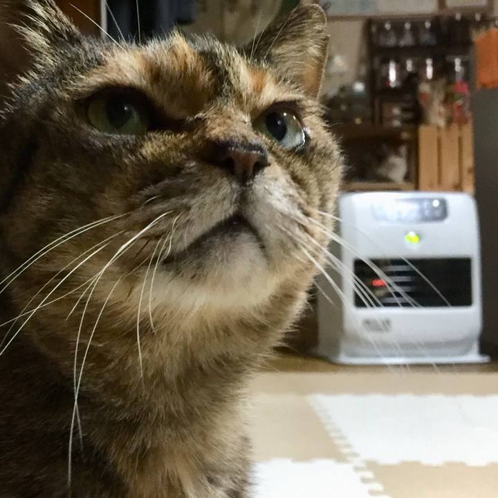 Bd7c474e e99f 4a7f a19e 2823d333aa72 1641556417013