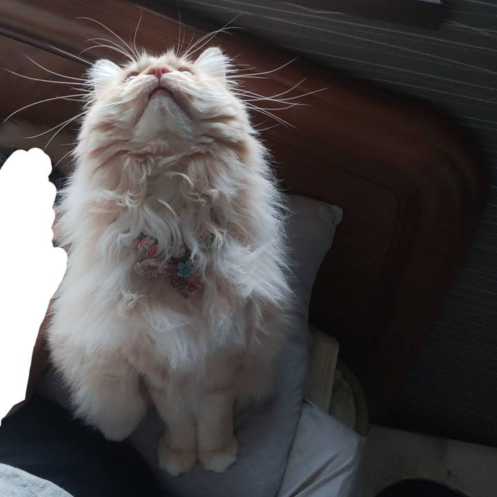 Bd7c701e 8b61 4cca abba d22605115b88 1679609963700