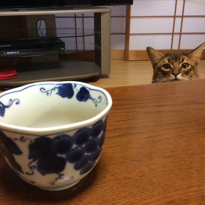 Bd7c77d0 d1d4 46d1 b422 e6ba100f1f4f 1607155760267