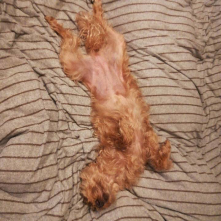 Bd7c89cc 4828 4b76 8e34 3aeaf6a8bf04 1535282779842