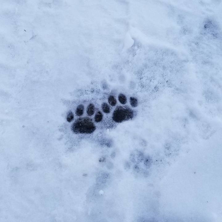 Bd7d01b5 e9e0 4f8a b8fd 25272172a04a 1544535139582