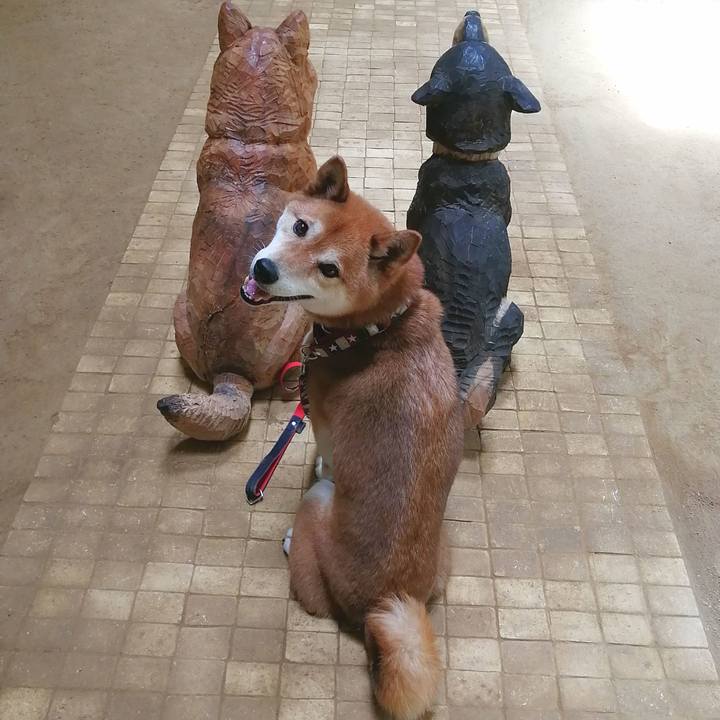 Bd7d08fa f55a 4471 9cb1 cdb579bb7aa9 1654178284971