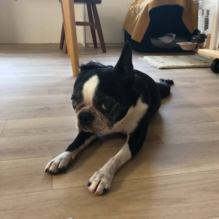 Bd7d3783 6d89 4f70 a19c 942f0bf729d2 1721116355438