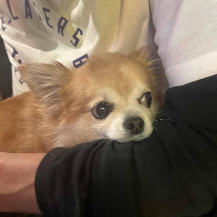 Bd7d47ee df48 430f a3e0 872a0fe8de90 1764076292604