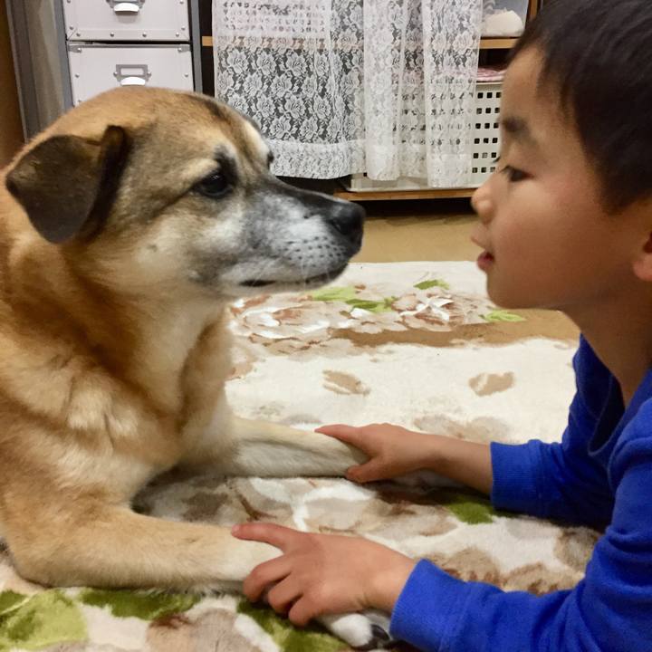 Bd7dc0d7 7443 465b 8f0f e44d411dd7f0 1577536588694