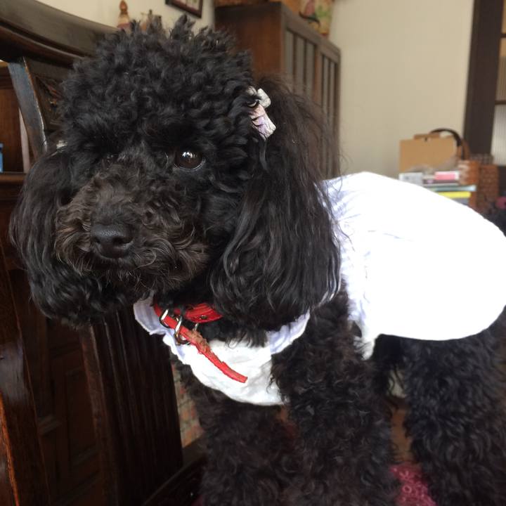 Bd7e10f9 5951 4fe2 942f 58abdf5bd3c5 1526107291226