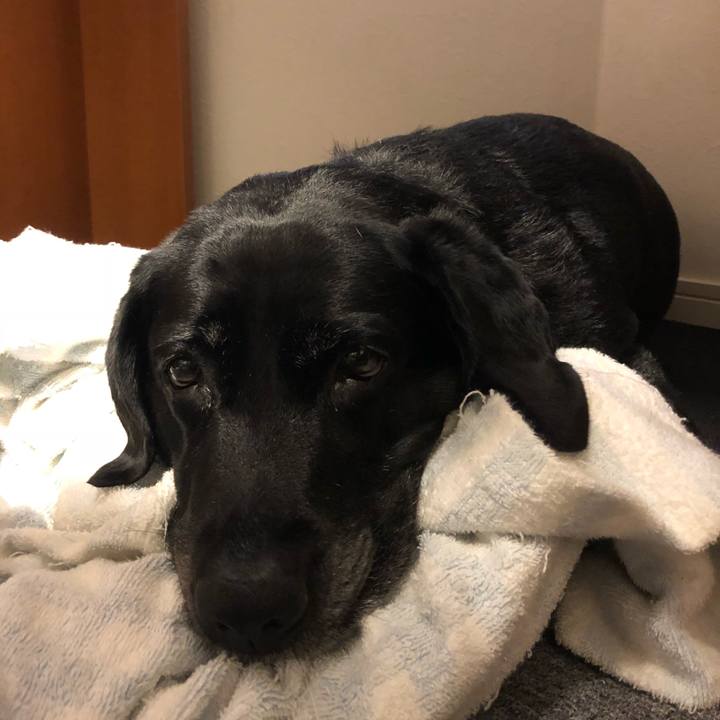 Bd7e2cf9 fb0f 4373 a70d f1eb2f5c97f5 1537277613578