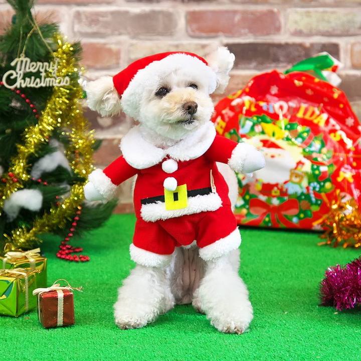 Bd7e2e63 ce1f 4c49 9bb6 36b1ea58dbe9 1513428938639