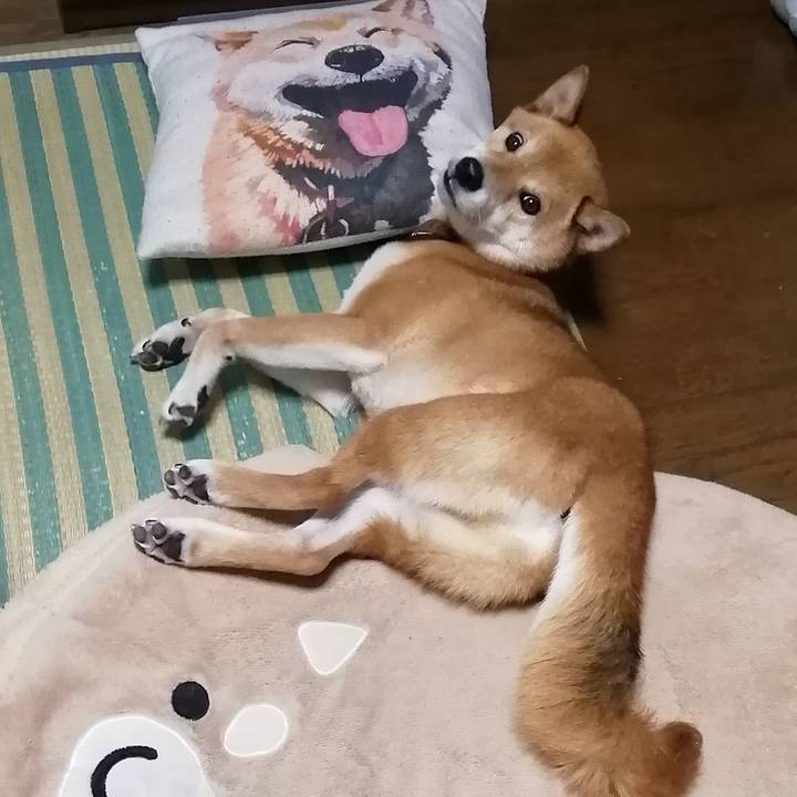 Bd7e83b9 6fd6 4ef3 a913 fbe25959a192 1595475852631