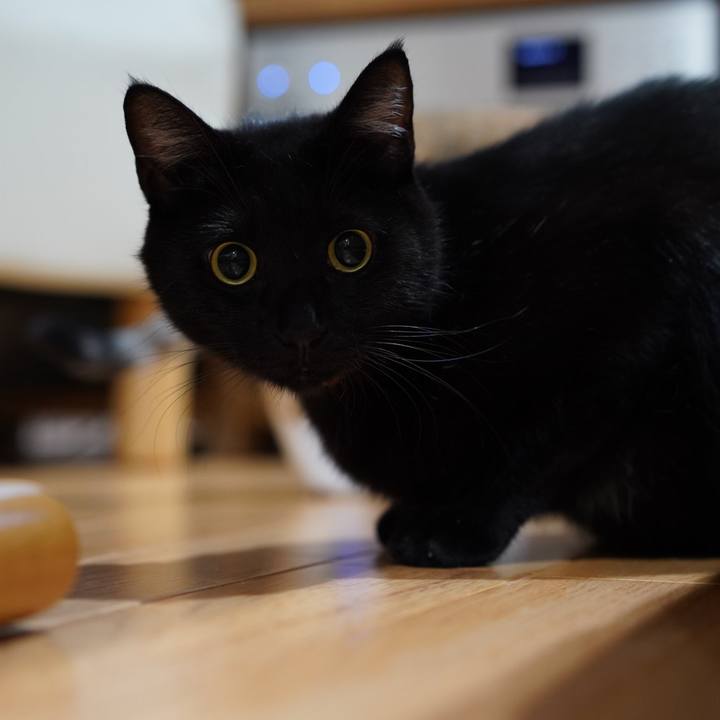 Bd7e917d a57f 4e15 93f3 229a9c82e74d 1574726433758