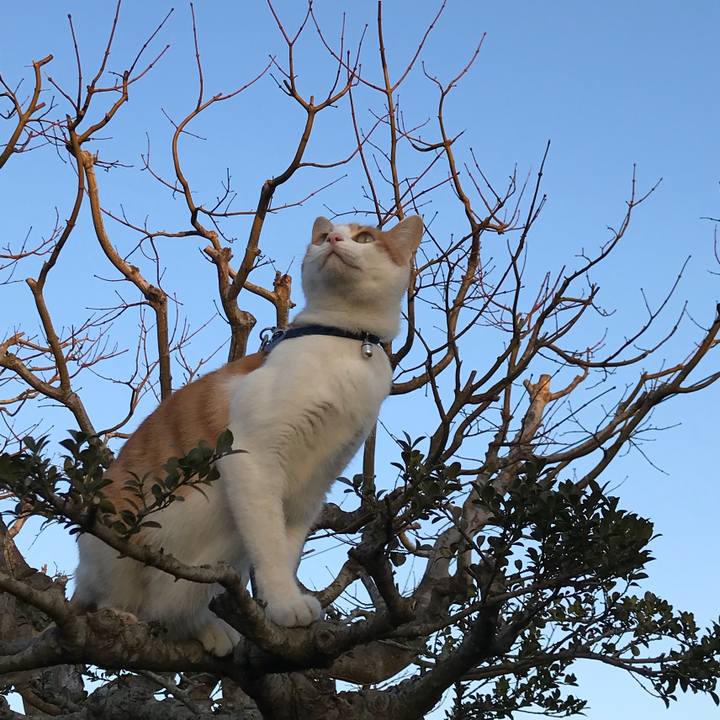 Bd7e9c01 93c7 4284 ba7d b1b5285b4c7f 1520304315280