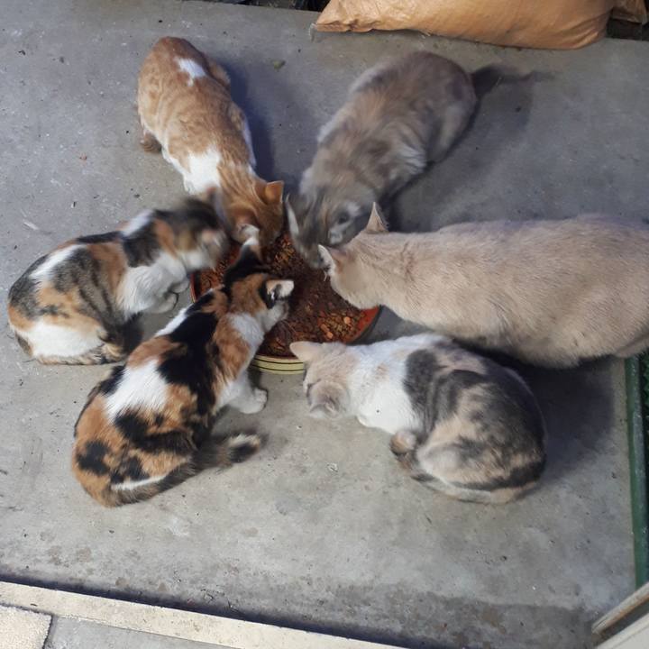 Bd7ea38f 37be 4085 9041 e000746940c8 1604565557146