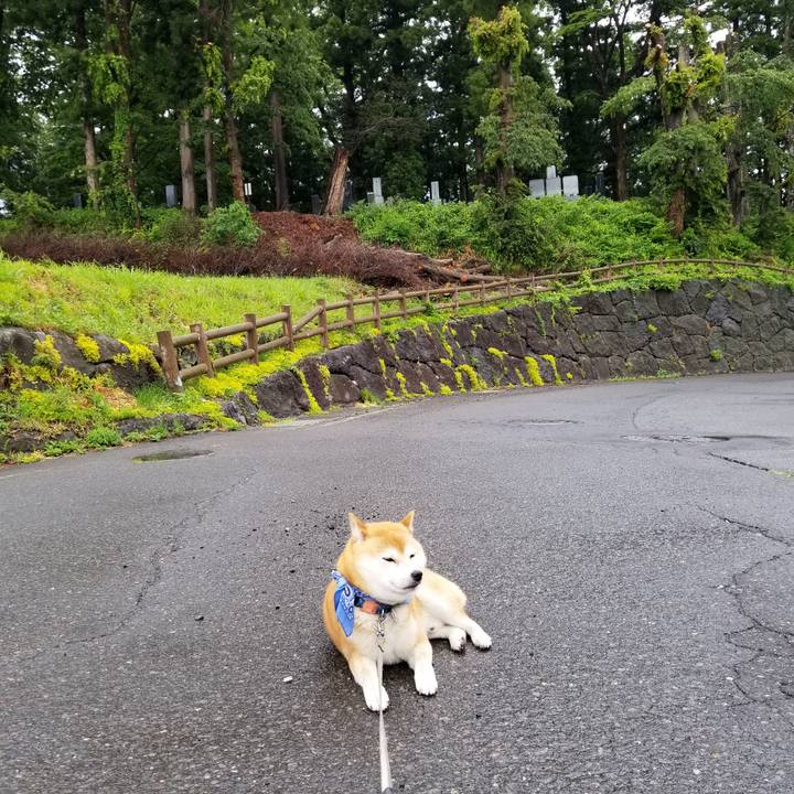 Bd7ea862 deaa 4e85 b059 9e2cd036e565 1559890375126