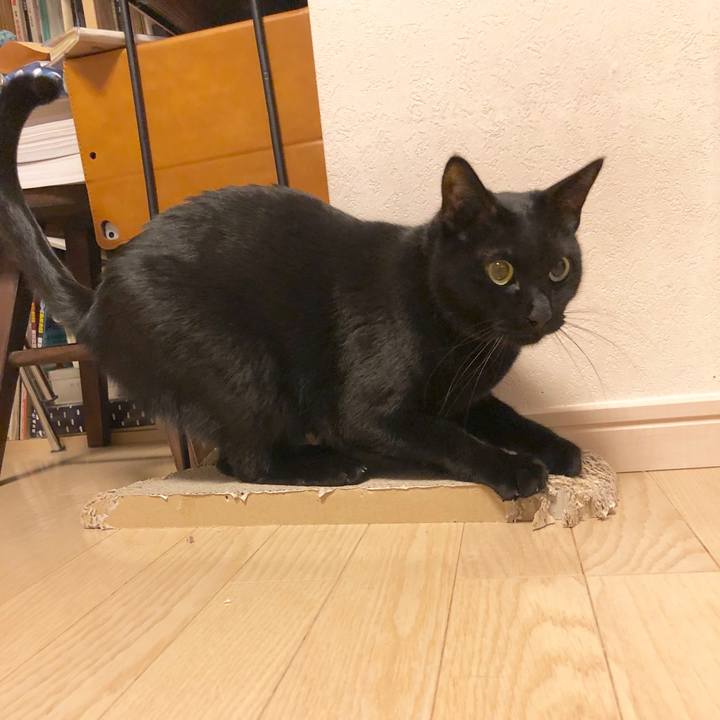 Bd7eb980 b267 4712 9fa0 93da9c7a62a8 1548410608021