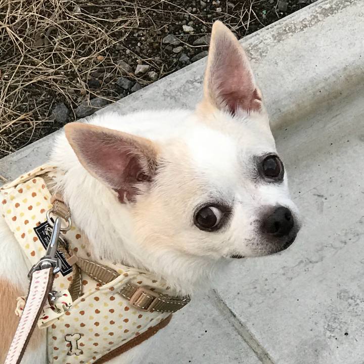 Bd7ec8b8 a737 4f49 a126 9401dabe18d3 1537797542190