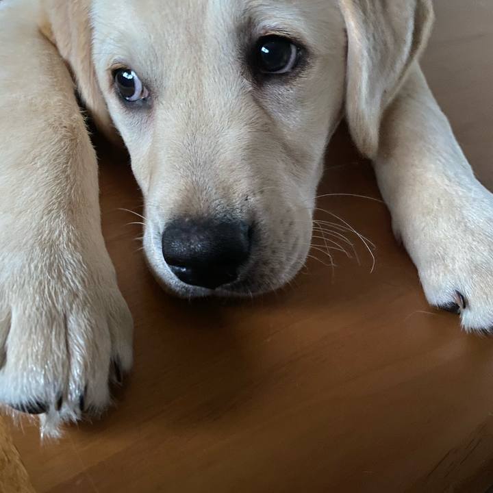 Bd7edcb7 e900 42de b809 2fe4913e0737 1615887312366