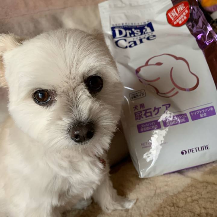 Bd7eec42 e3c3 4982 bc0f ef575fcb6fcd 1638426805624