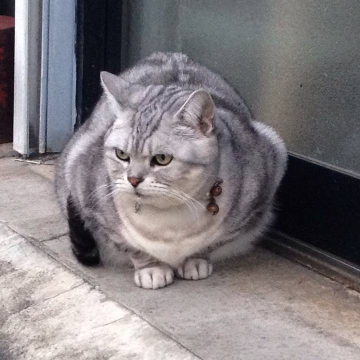 Bd7ef7ed c394 4369 be21 289c285c29cb 1511257023186