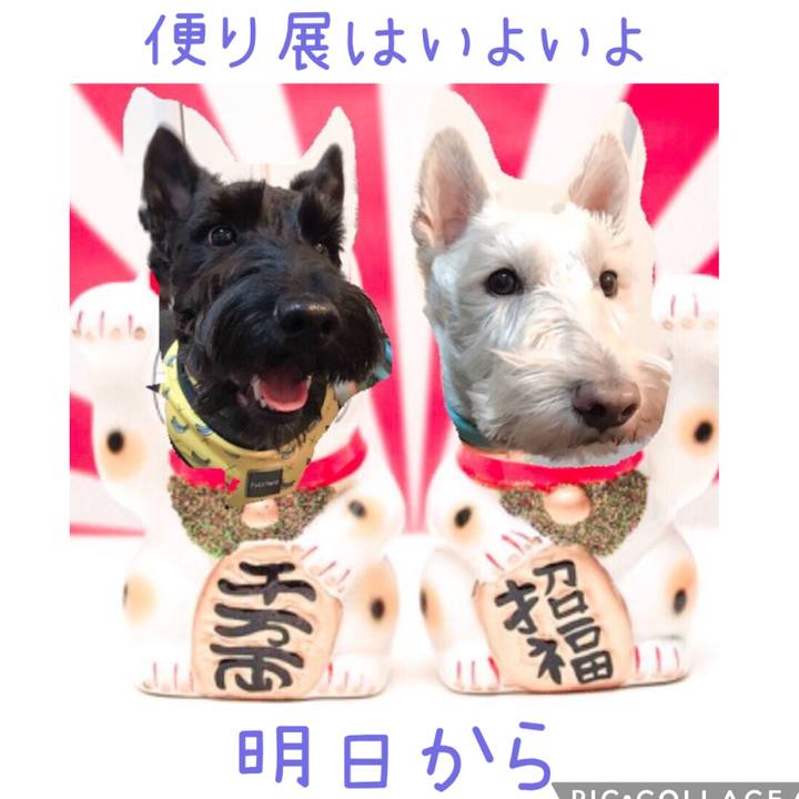 Bd7f0609 b9d3 41f2 ba34 6e035fc8d42a 1664516896571