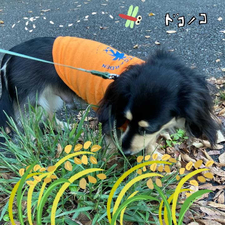 Bd7f09f6 961d 41ee a804 56069ae0913a 1761816283570