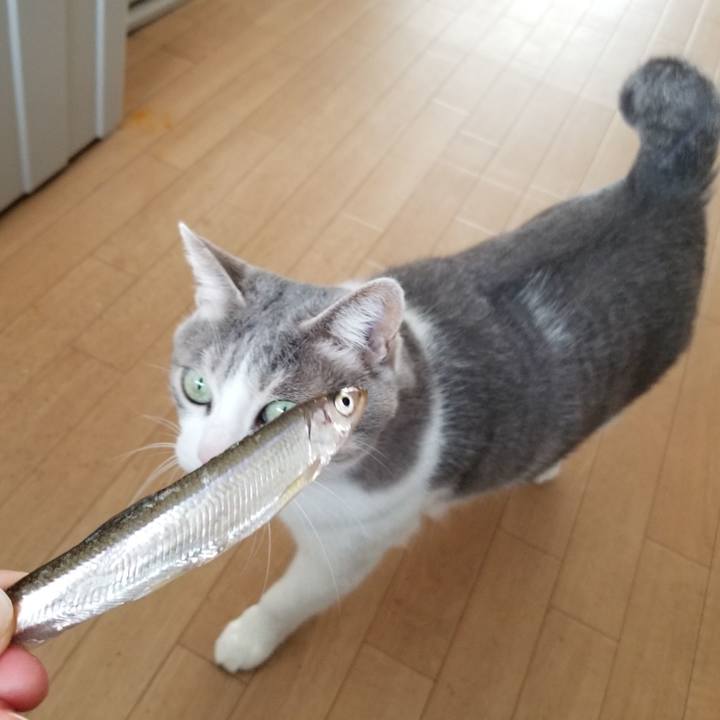 Bd7f3166 75cf 4723 99ac 1ec227d898f3 1646132467870