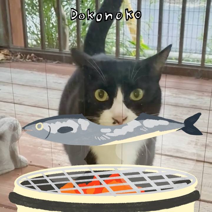 Bd7f5ae3 8834 4908 a899 16c2eb9ab06a 1761107252870