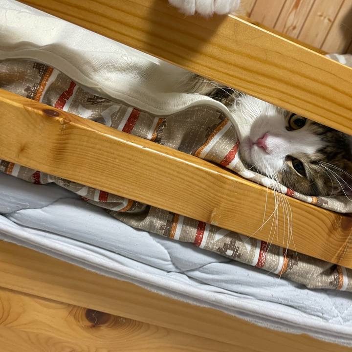 Bd7f8811 481b 445c be83 ee279b973dd2 1637186618115