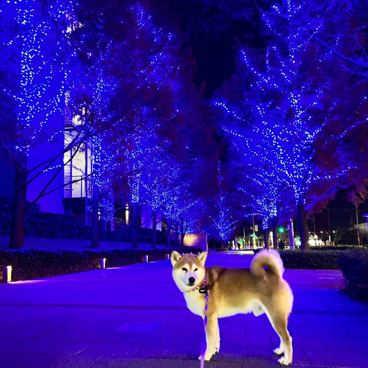 Bd7fcd99 8a75 496a b502 07d1316a4ff0 1765285752437